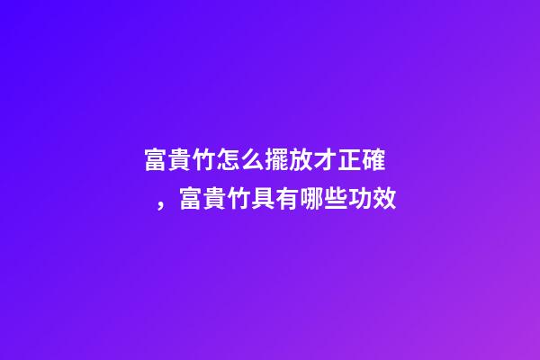 富貴竹怎么擺放才正確，富貴竹具有哪些功效